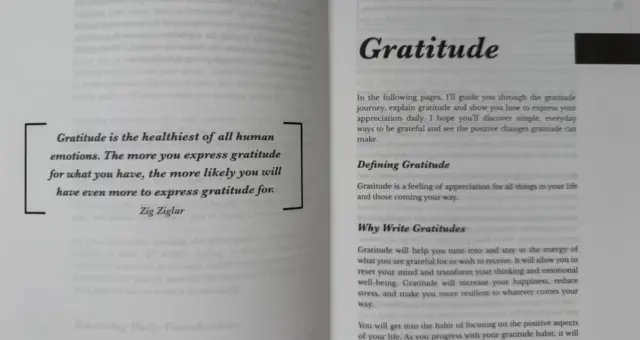iAmEvolving Journal open on a desk with gratitude prompts written on the page.