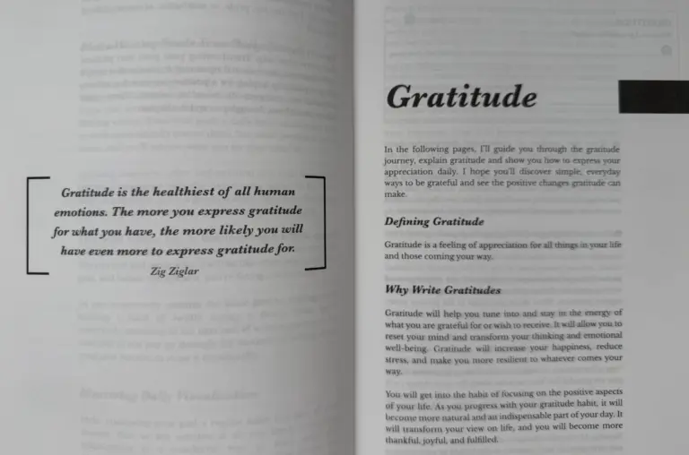 20 Gratitude Journal Prompts to Inspire Your Daily Practice