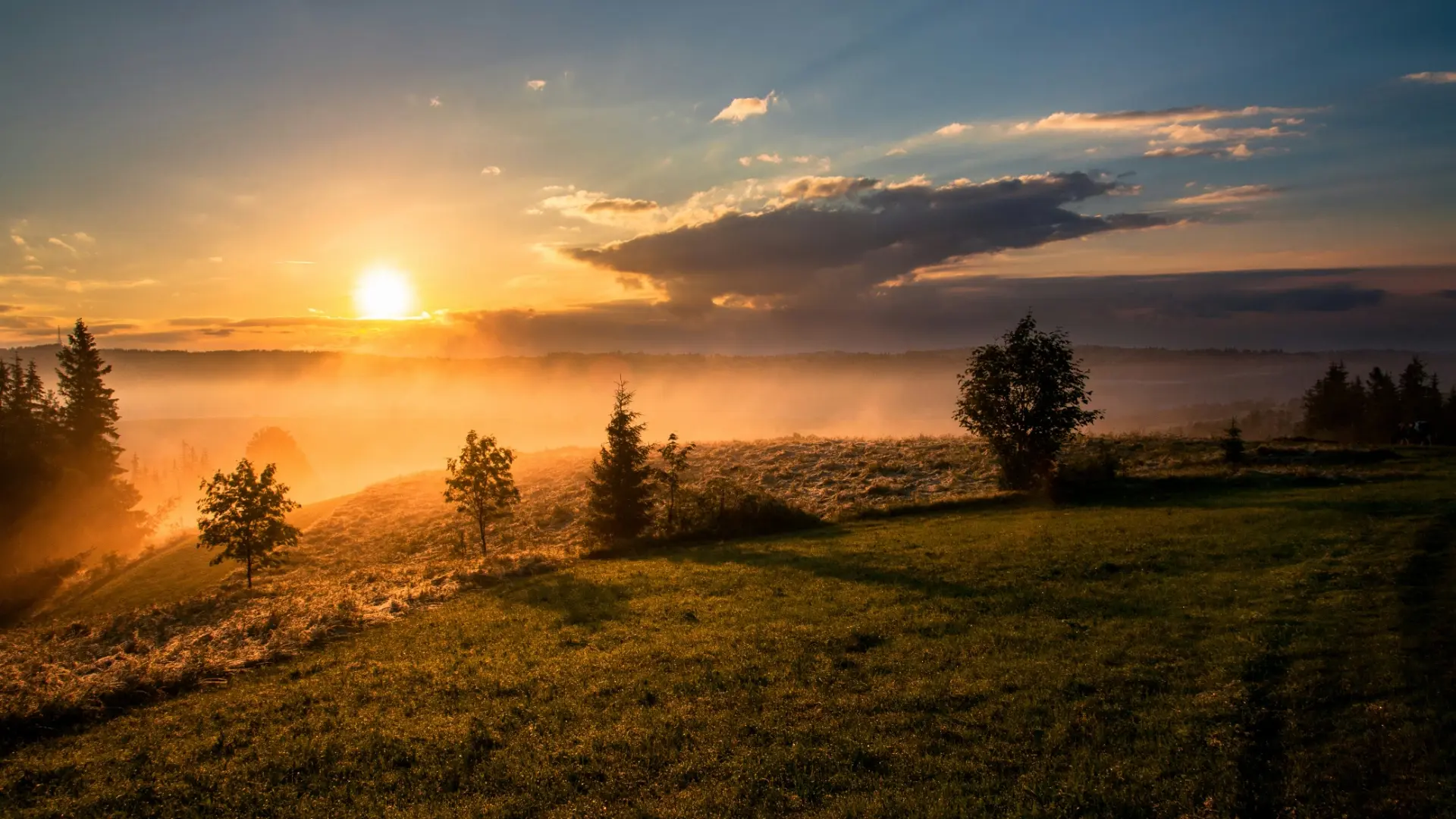 Sunrise over a misty field, representing fresh starts, positivity, and morning motivation.