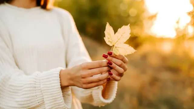 The Beauty of Change: Learning to Embrace Life’s Seasons The Beauty of Change: Learning to Embrace Life’s Seasons