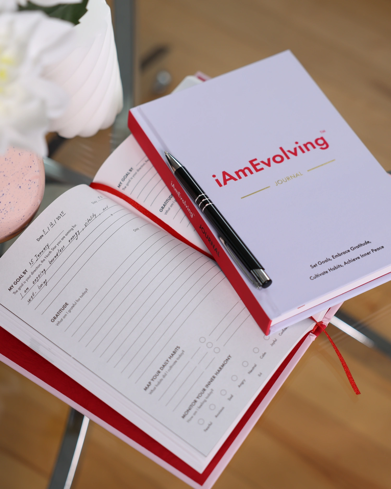 iAmEvolving Journal open to a daily page with handwritten goals and gratitude prompts