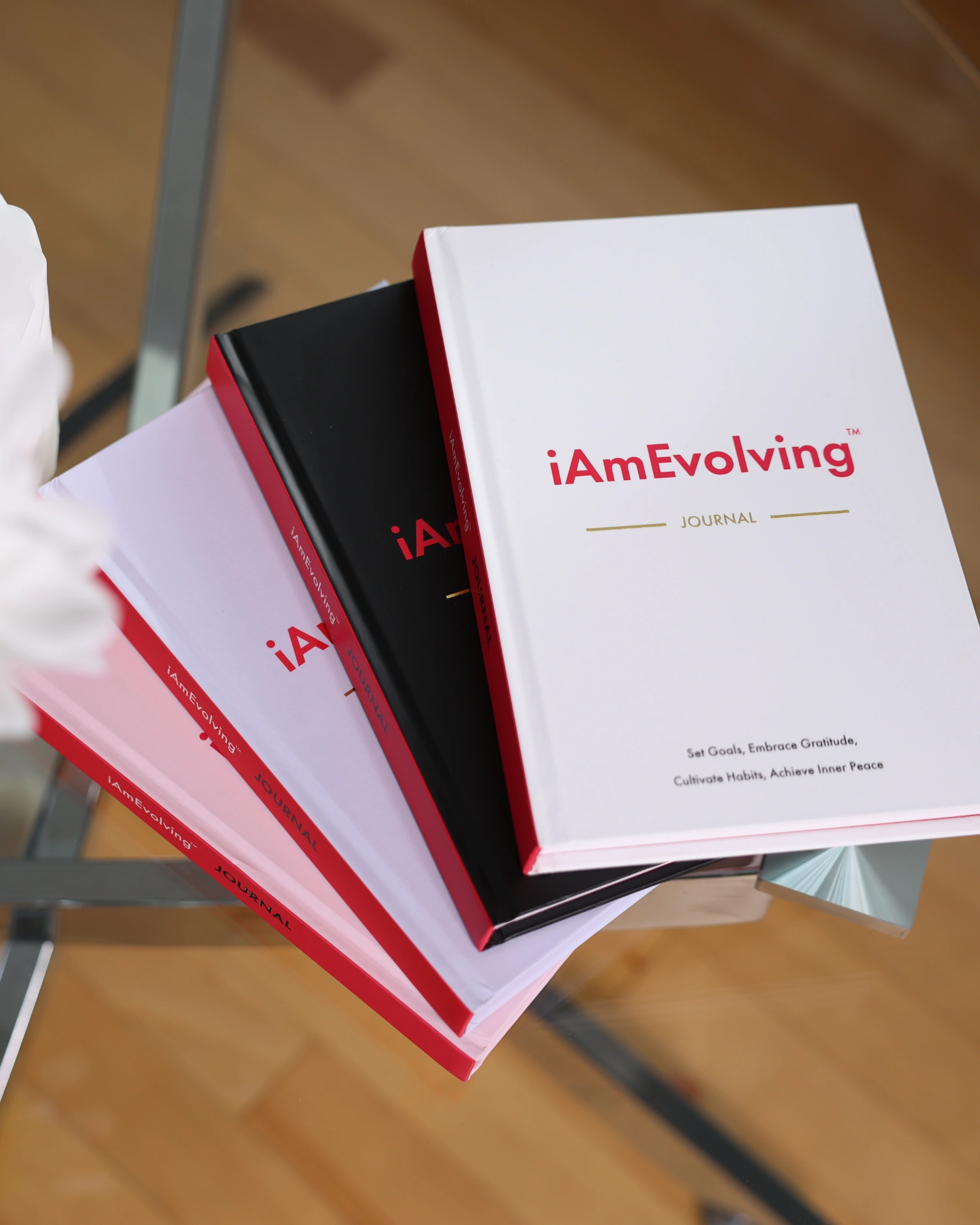 iAmEvolving Journal available in white, black, and rose