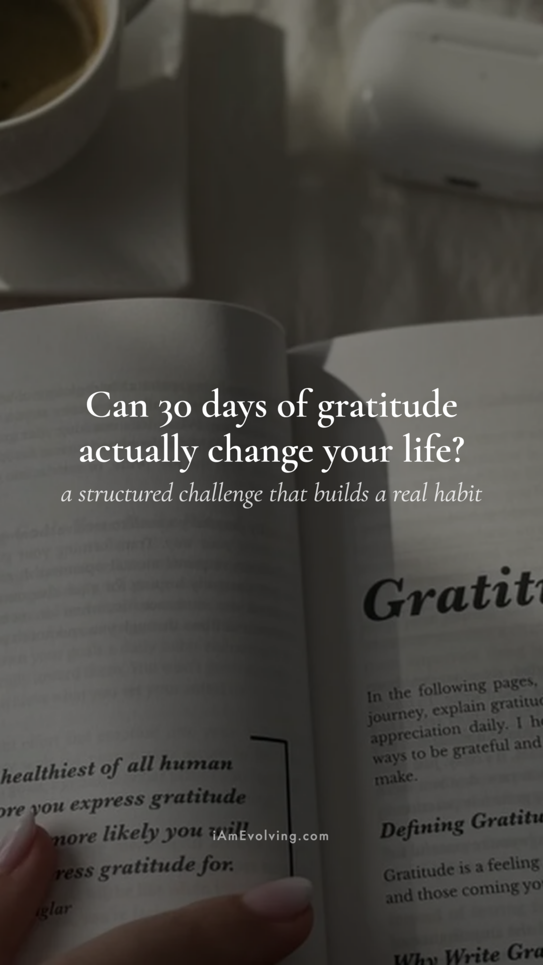 30 Day Gratitude Journal Challenge - slide 1