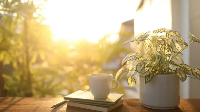 Goal Reflection: How to Review Your Goals and Realign Without Pressure
