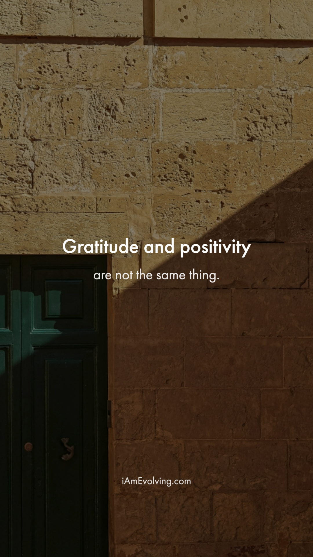 Gratitude Vs Positivity - slide 1