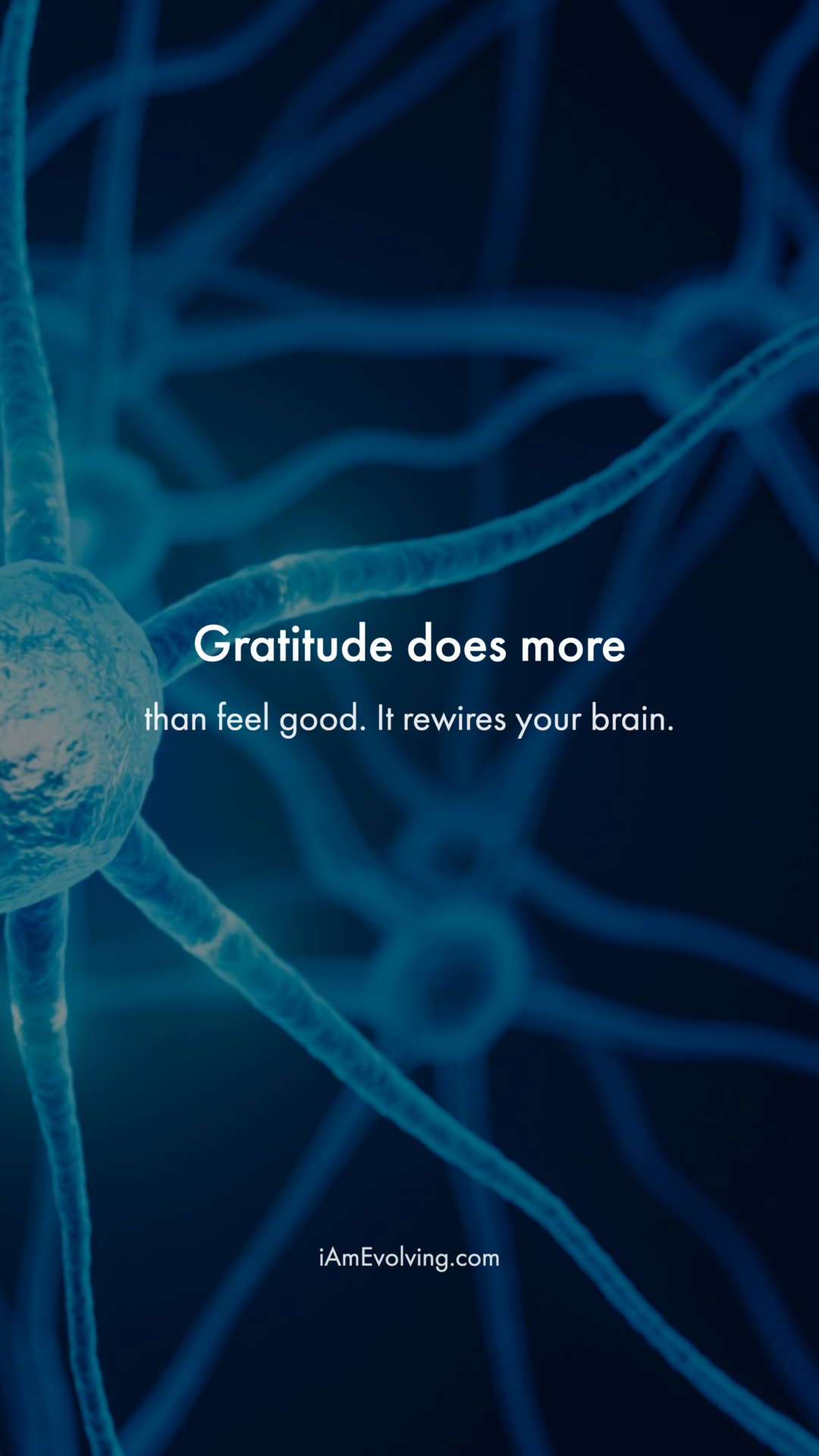 How Gratitude Changes Your Brain - slide 1