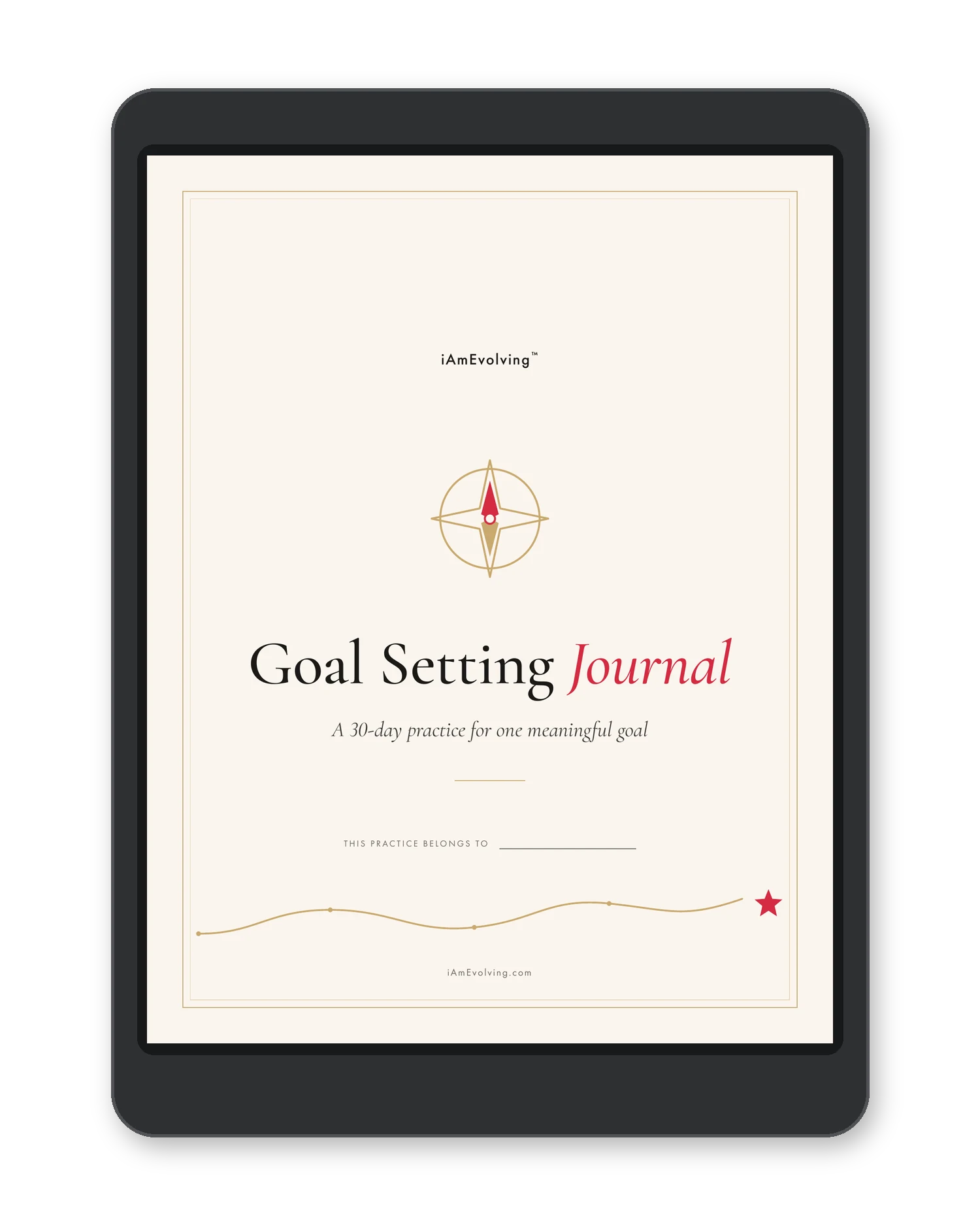 30 Days Goal Setting Journal